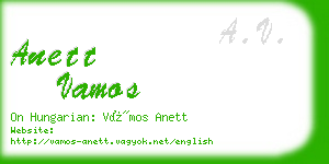 anett vamos business card